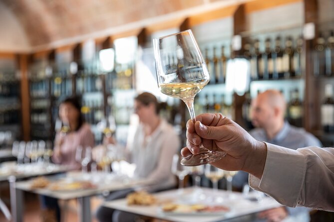 Superior Wine Tasting in San Gimignano - Key Points