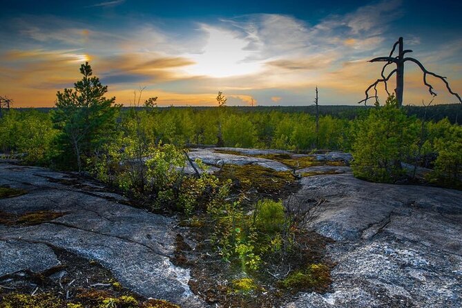 Survival Hike and Tour of Tyresta National Park - Key Points