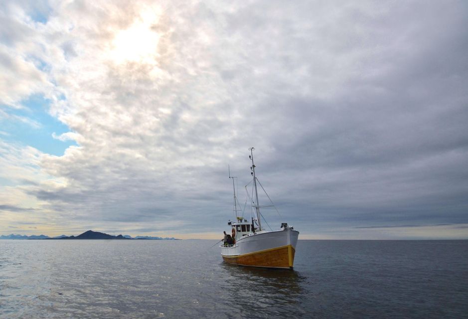 Svolvær: Fishing Trip on the Lofoten Sea - Key Points