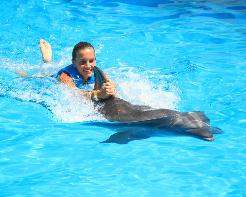 Swim With Dolphins Ride - Interactive Aquarium Cancun - Key Points