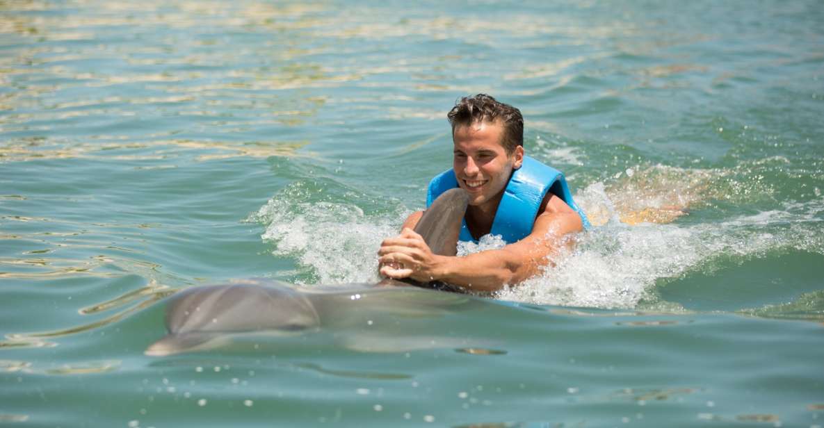 Swim With Dolphins Ride - Playa Mujeres - Key Points