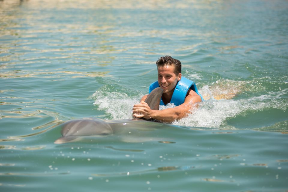 Swim With Dolphins Ride - Puerto Morelos - Key Points