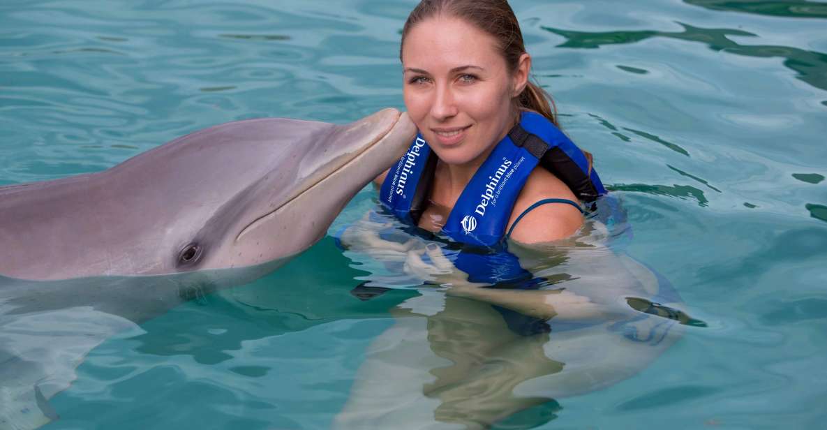 Swim With Dolphins Splash - Puerto Morelos - Key Points