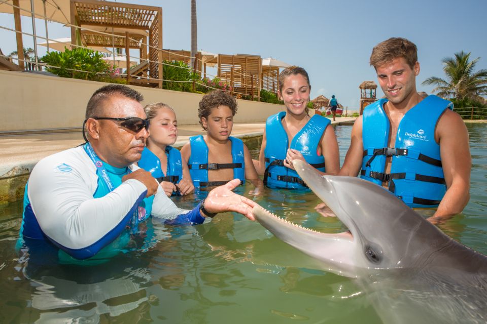 Swim With Dolphins Splash - Punta Cancun - Key Points