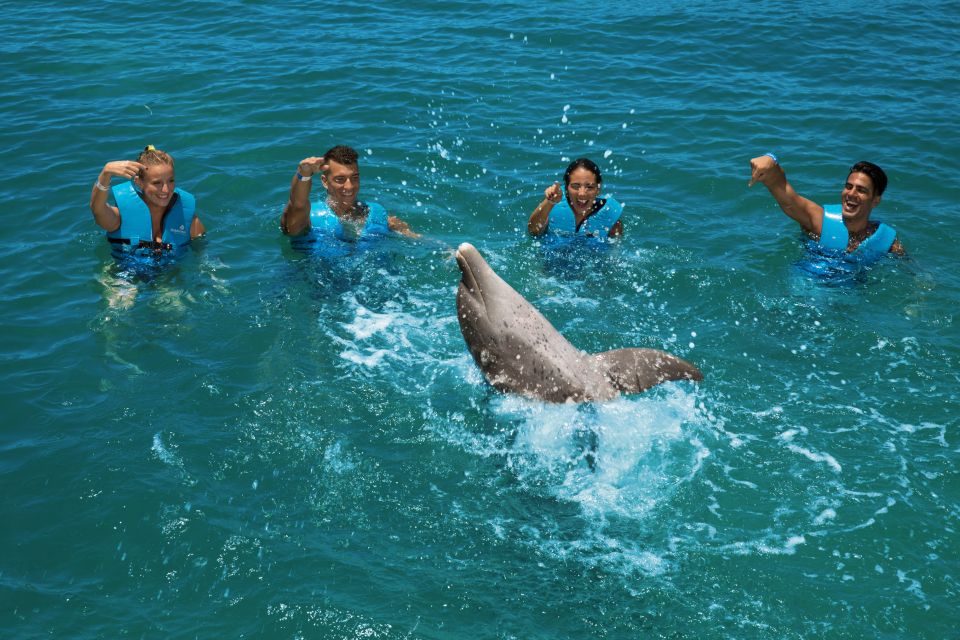 Swim With Dolphins Supreme - Playa Mujeres - Key Points
