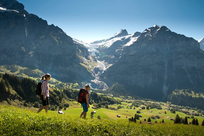 Swiss Villages Grindelwald and Interlaken Day Trip From Zurich - Key Points