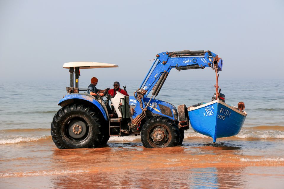 Taghazout Day Tour From Agadir - Private Tour - Key Points