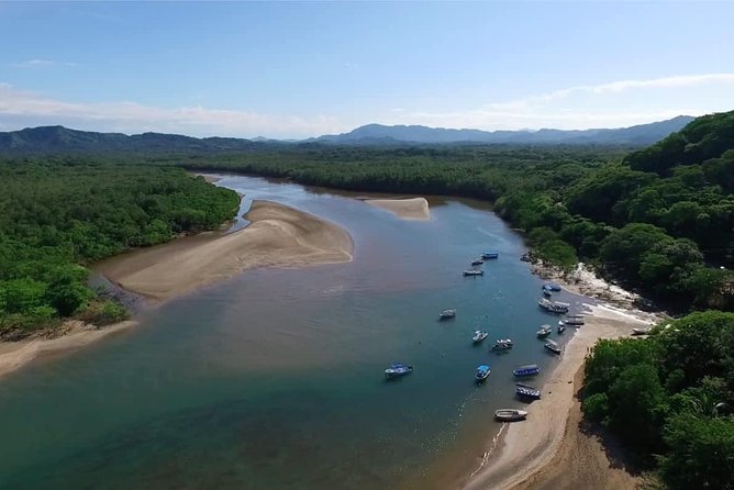 Tamarindo River Boat Tour - Key Points