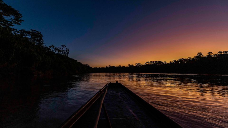 Tambopata: Search for Caimans in the Amazon Night Tour - Key Points