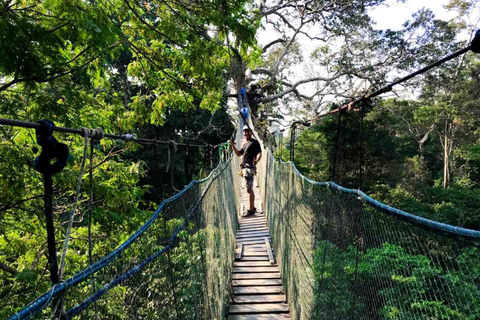 Tambopata: Zipline Adventure & Kayak to Monkey Island - Key Points