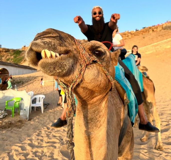 Tangier: Achakar Beach Sunset Camel Ride & Moroccan Dinner - Key Points