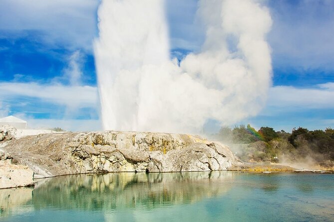 Tauranga - Rotorua: Spa Pools & Te Puia Geysers. Shore Excursion - Key Points