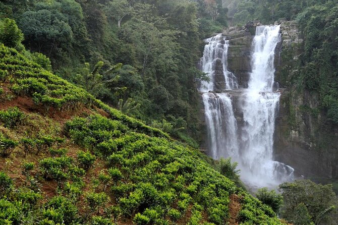 Tea Factories And Waterfalls Tour - Key Points