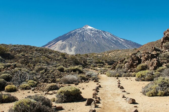 Teide National Park Full Experience With Professional Guide - Meeting and Pickup Details