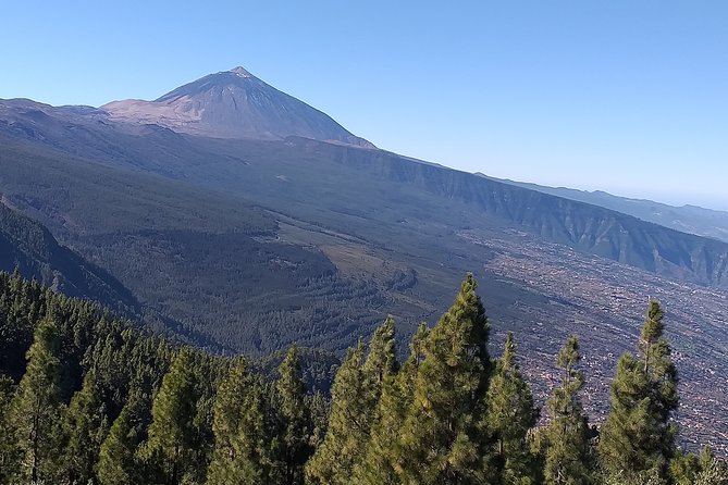 Teide National Park Small-Group Hiking Tour  - Tenerife - Key Points