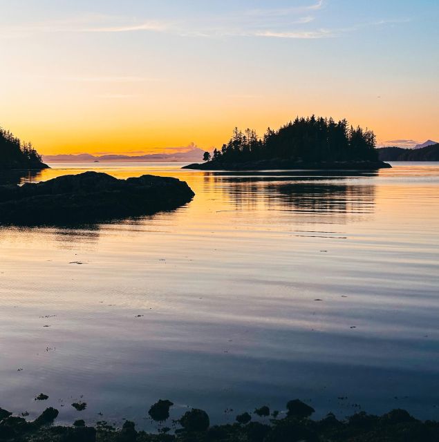 Telegraph Cove: 2 Hour Evening Kayak Tour - Key Points