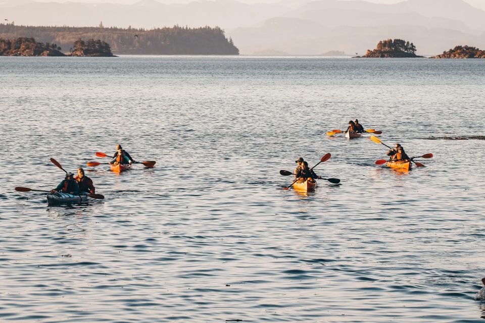 Telegraph Cove: 2 Hour Family Fun Kayaking Tour - Key Points