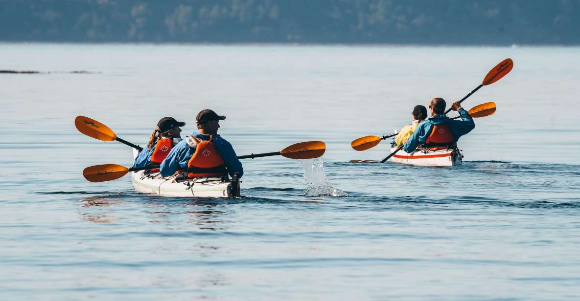Telegraph Cove: Day Trip Kayaking Tour - Key Points