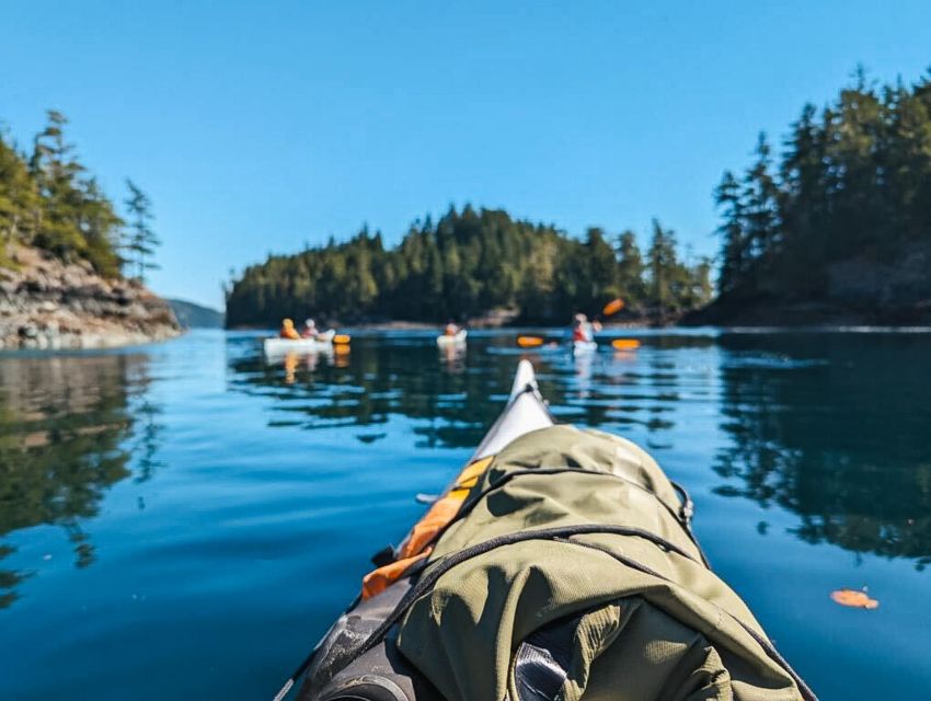 Telegraph Cove: Half-Day Kayaking Tour - Key Points