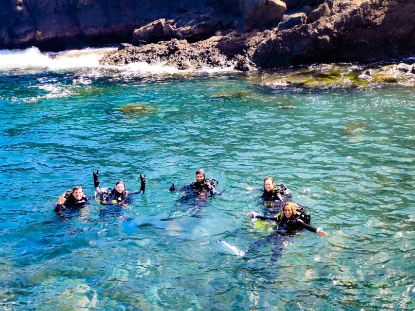 Tenerife: 2-Dive Private Scuba Discovery Course - Key Points