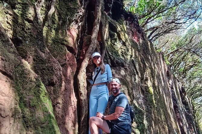 Tenerife: Anaga Mountains and Laurel Forest Hiking Tour - Key Points
