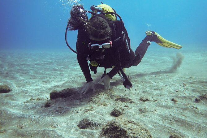 Tenerife Diving Course for Beginners With Two Dives - Key Points