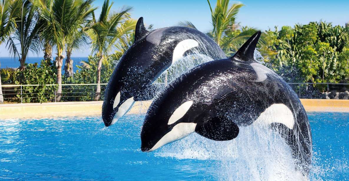 Tenerife: Loro Parque & Siam Park Combined Tickets - Key Points