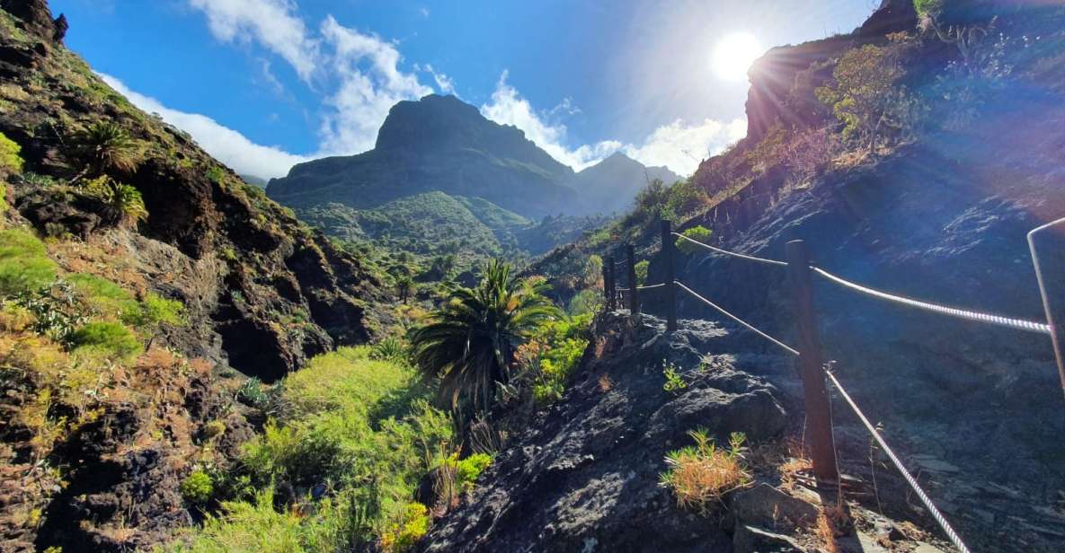 Tenerife : Masca Ravine Breathtaking Hiking Adventure - Key Points