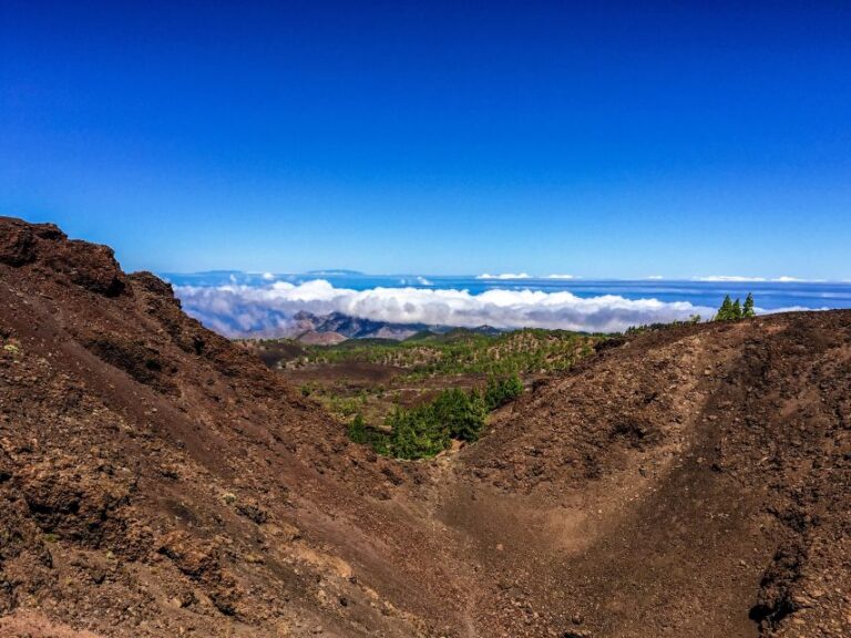 Tenerife Private Tour: Full-Day Volcanic South