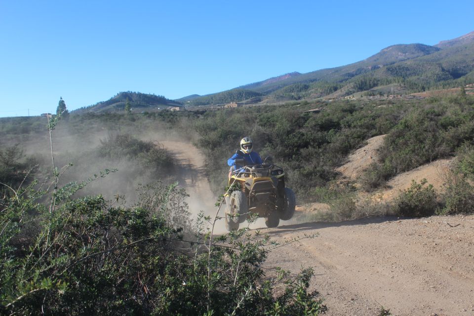 Tenerife: Quad Bike Off-Road Adventure - Key Points