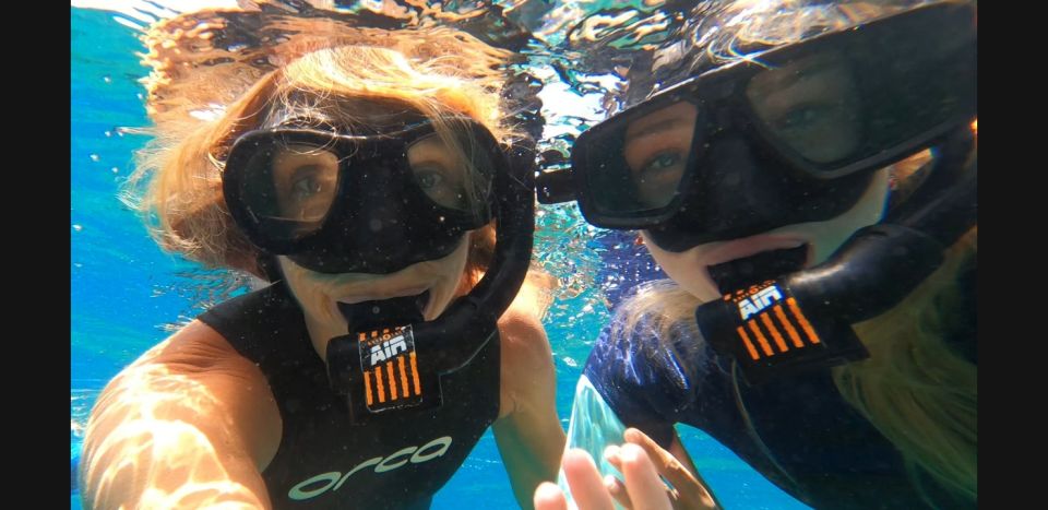 Tenerife: Snorkeling Tour in a Marine Protected Area - Key Points