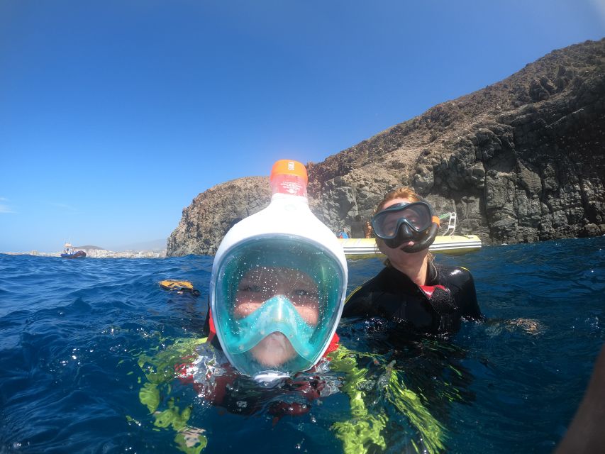Tenerife: Snorkeling Trip in a Turtle Habitat - Key Points