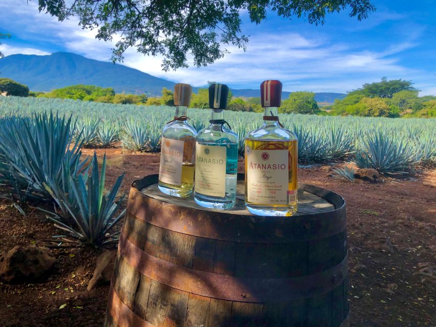 Tequila Full Experience - Key Points