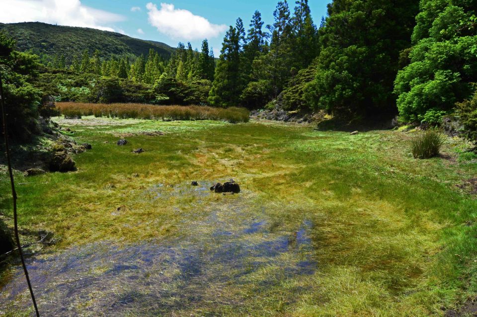 Terceira Island: Mistérios Negros Hike - Key Points