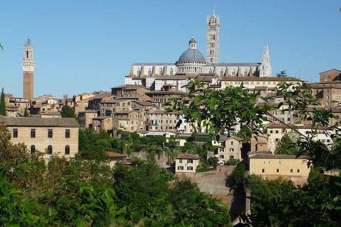 The Best of Siena - Private Walking Tour - Key Points