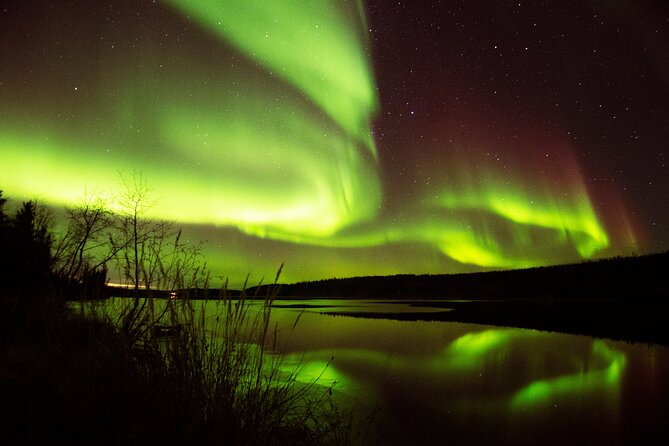 The Greatest Valuable Aurora Manor & Hunting Tour --Exclusive Tour Operator - Key Points