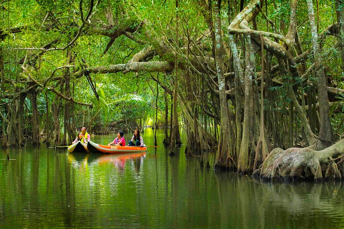 The Little Amazon and Sri Phang Nga Waterfall Full Day Tour From Khao Lak - Key Points