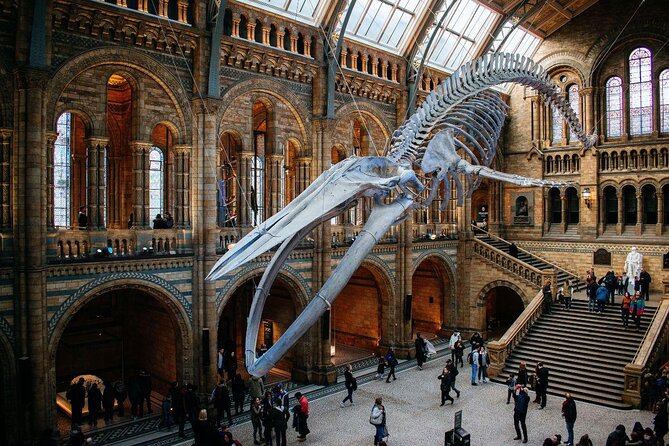 The Natural History Museum Guided Tour in London - Key Points
