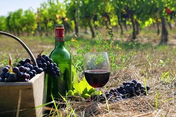 The Nemea Wine Roads With Breathtaking Nafplion Private Tour - Key Points