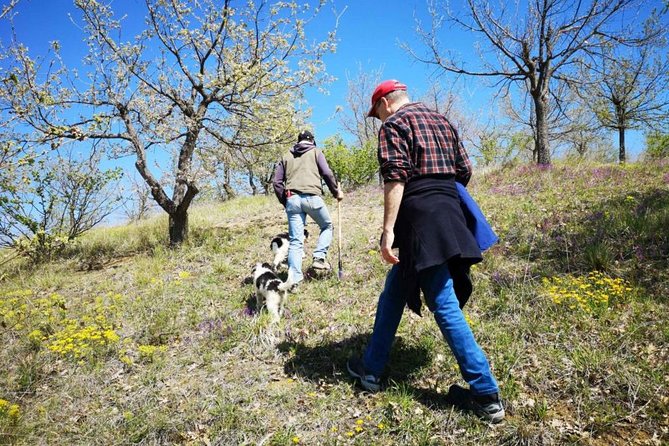 The Real Truffle Hunting in Abruzzo - Key Points