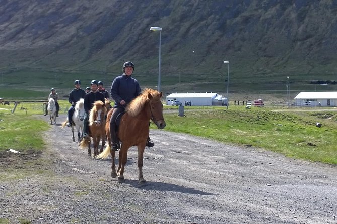 The Valley Ride Private HORSE RIDING Tour - Key Points