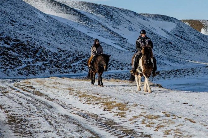 The Viking North Iceland Horse Riding in Winter Experience - Key Points