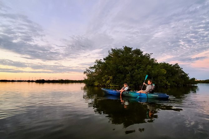 Thousand Islands Mangrove Tunnel Sunset Kayak Tour With Cocoa Kayaking! - Key Points