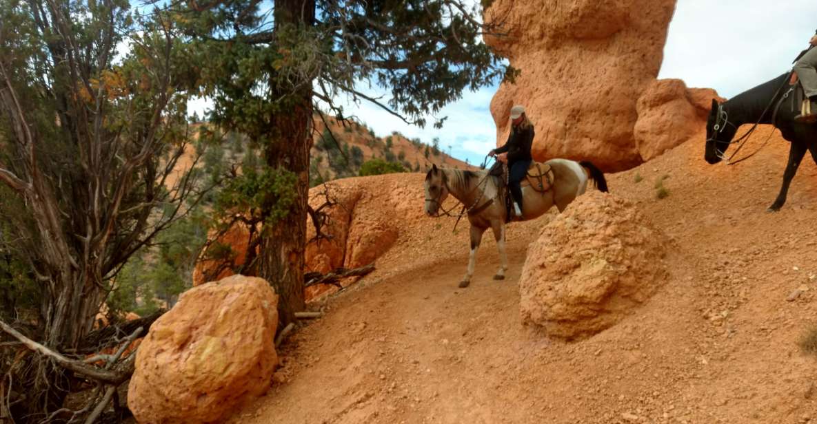 Thunder Mountain Trail: Scenic Horseback Ride - Key Points