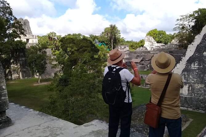 Tikal From Flores or Mundo Maya Airport With Transportation, Local Guide and Lunch - Key Points