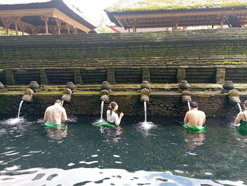 Tirta Empul: Highlights Tour With Cleansing & Rice Terrace - Key Points