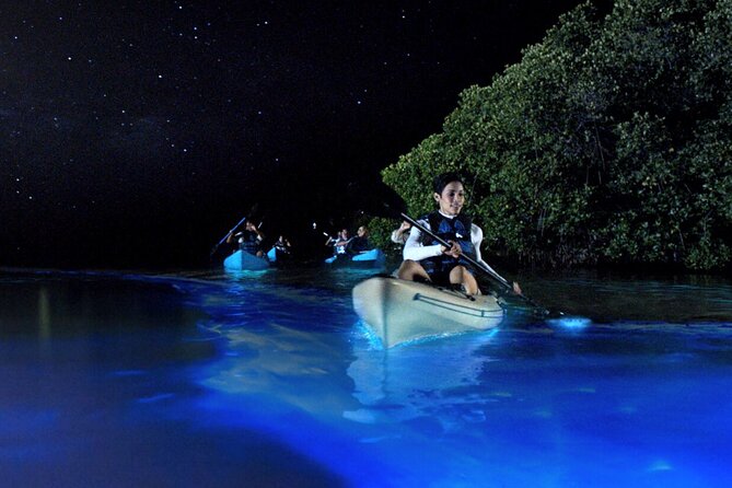 Titusville Sunset and Night Bioluminescence Kayak Paddle Tour  - Cocoa Beach - Key Points