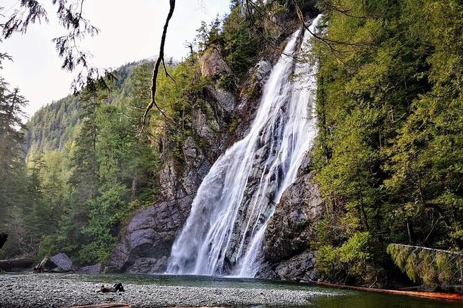 Tofino Private Tour: Coastal Excursion to Rainforest Waterfall - Key Points