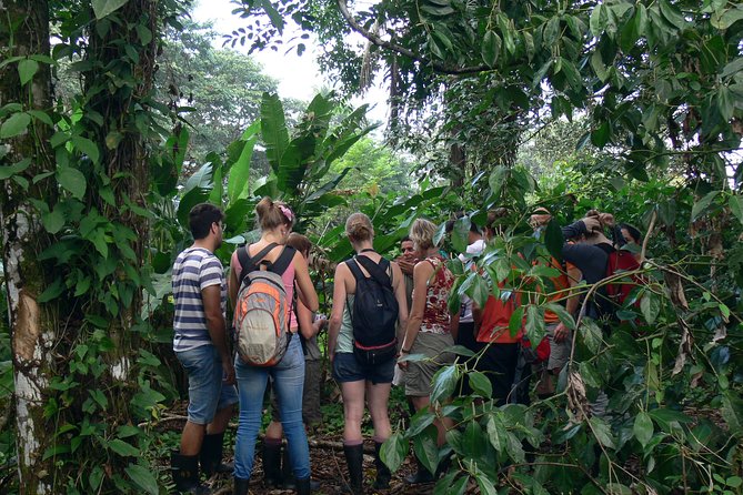 Tortuguero Clasicos - 2 Tours: Canoe and Day Hike - Tour Overview