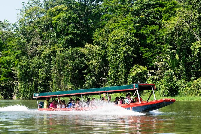 Tortuguero One Day Tour From San Jose. Semi Private Small Group - Tour Overview